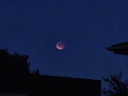 Klik på billedet for at se det i større format