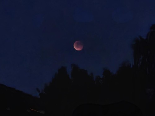 Klik på billedet for at se det i større format