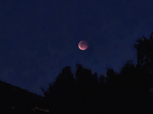 Klik på billedet for at se det i større format