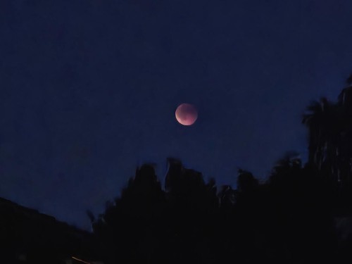 Klik på billedet for at se det i større format