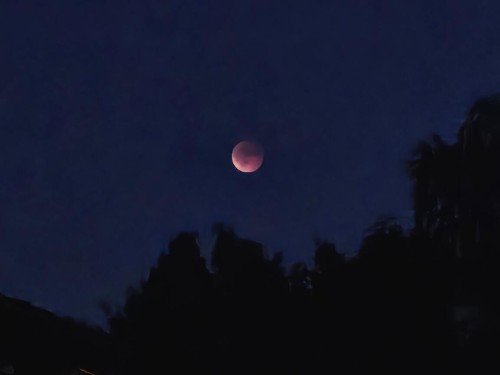 Klik på billedet for at se det i større format