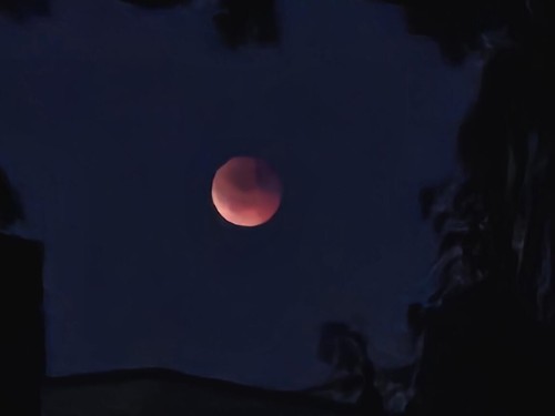 Klik på billedet for at se det i større format