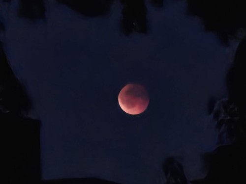 Klik på billedet for at se det i større format