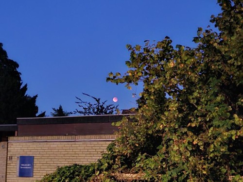 Klik på billedet for at se det i større format