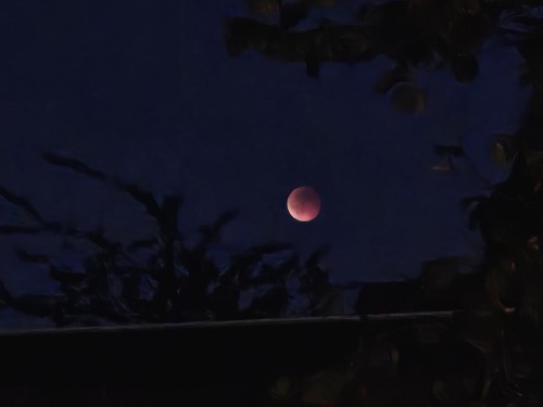 Klik på billedet for at se det i større format