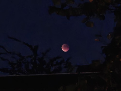 Klik på billedet for at se det i større format