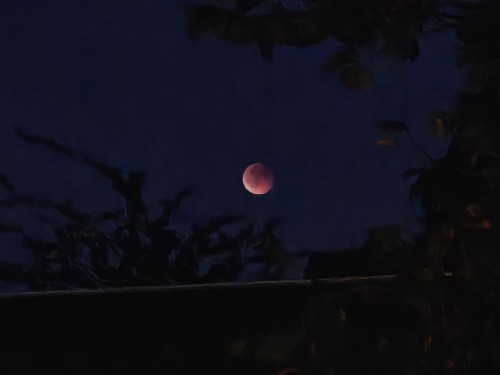 Klik på billedet for at se det i større format