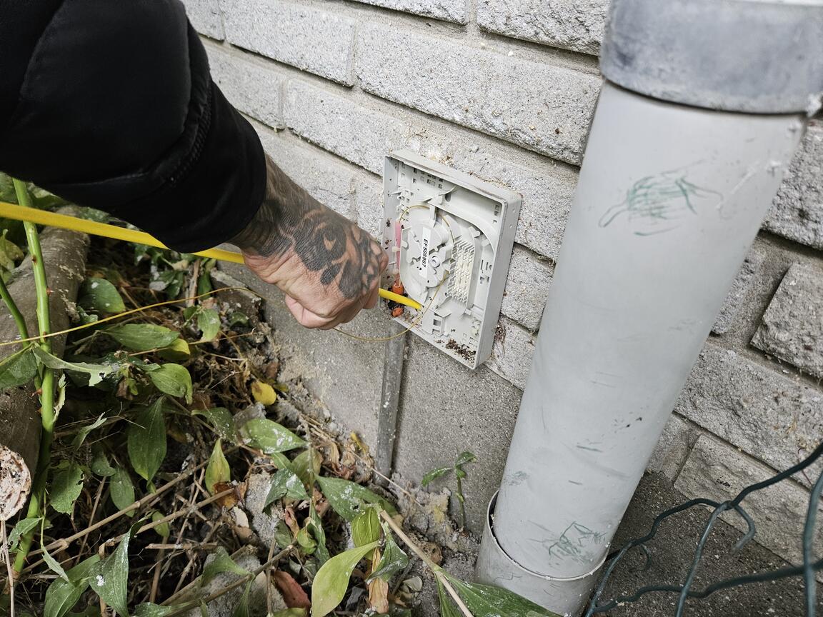 Klik på billedet for at lukke vinduet