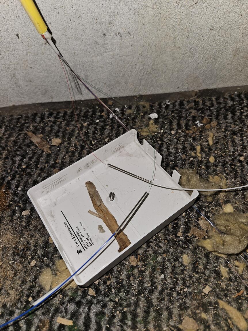 Klik på billedet for at lukke vinduet