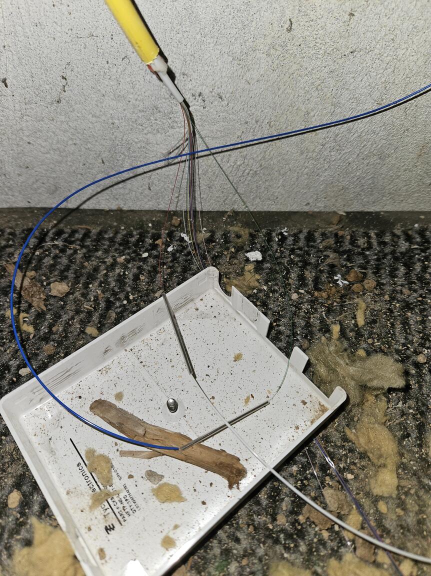 Klik på billedet for at lukke vinduet