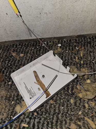 Klik på billedet for at se det i større format