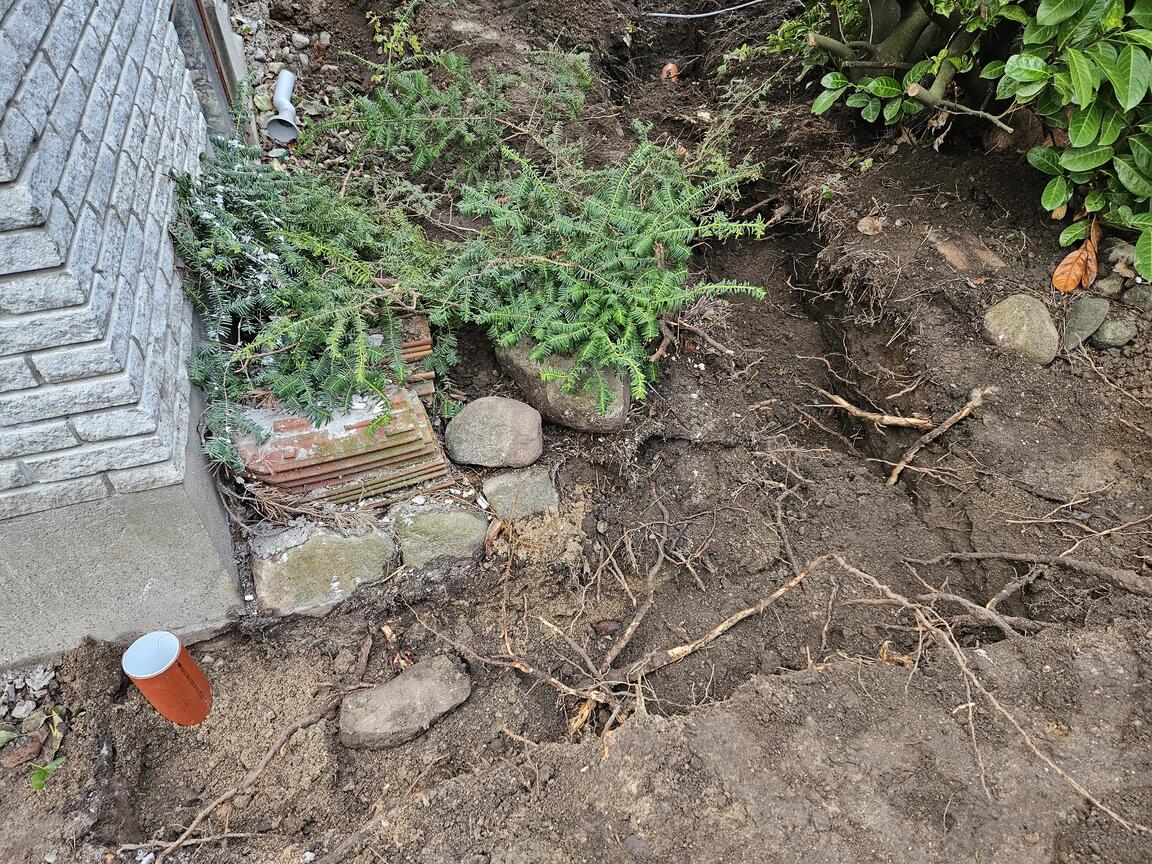 Klik på billedet for at lukke vinduet