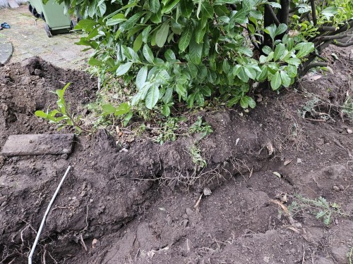 Klik på billedet for at se det i større format