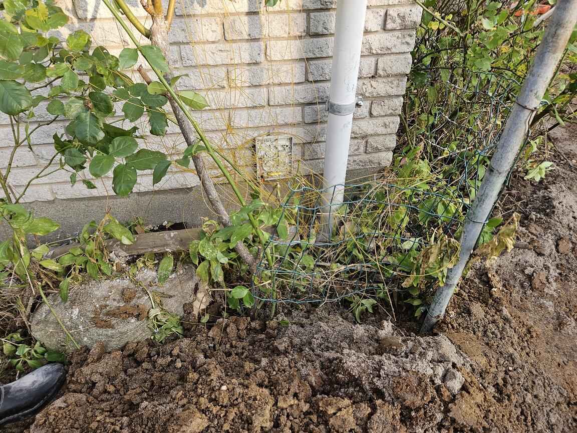 Klik på billedet for at lukke vinduet