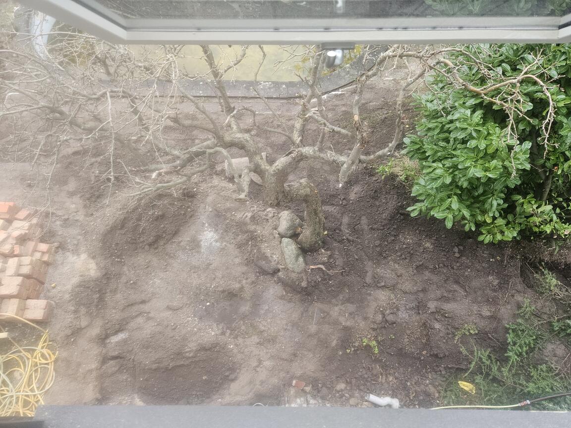 Klik på billedet for at lukke vinduet