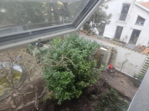 Klik på billedet for at se det i større format