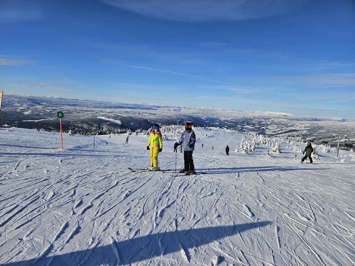 Klik på billedet for at lukke vinduet