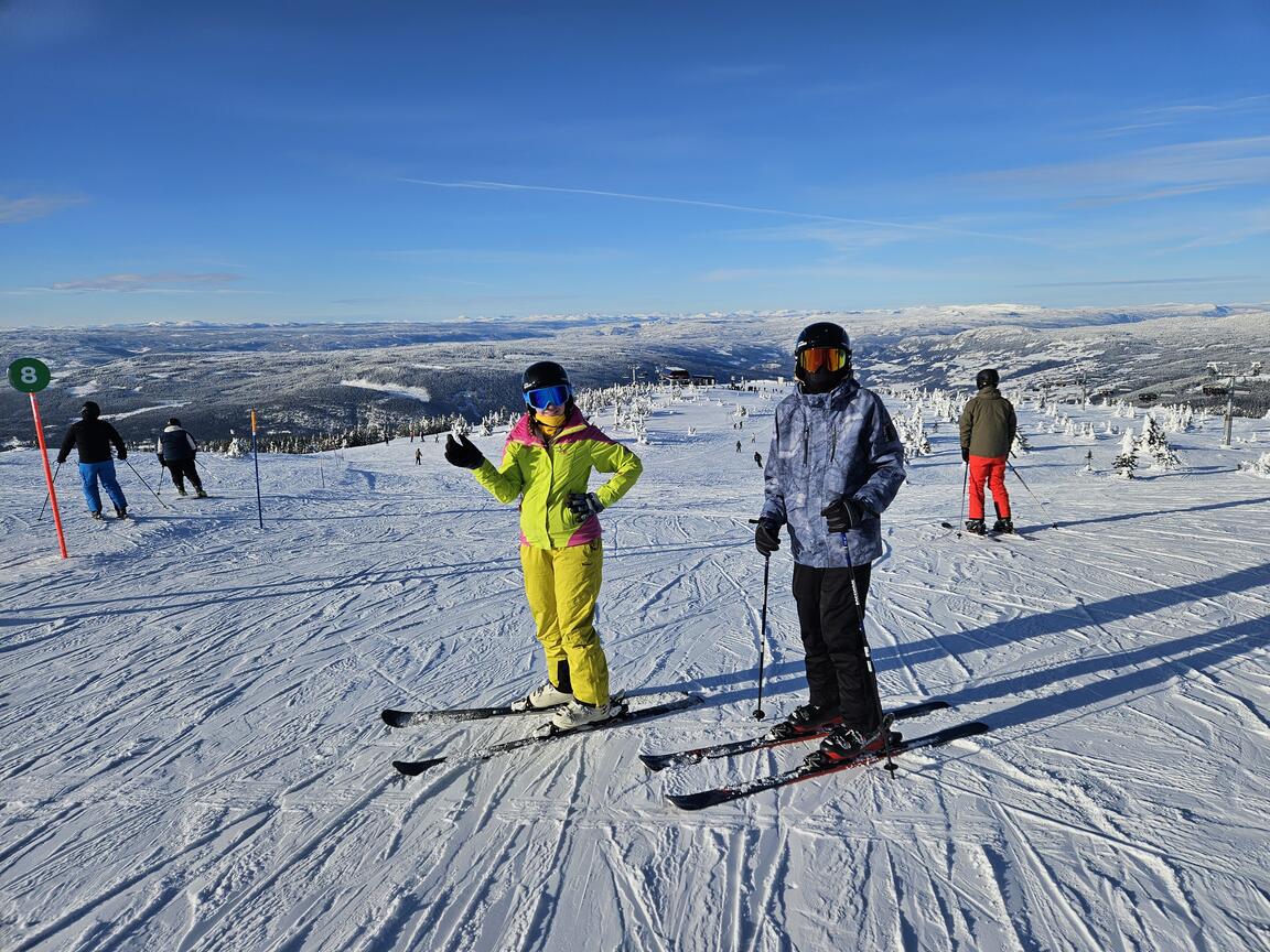 Klik på billedet for at lukke vinduet