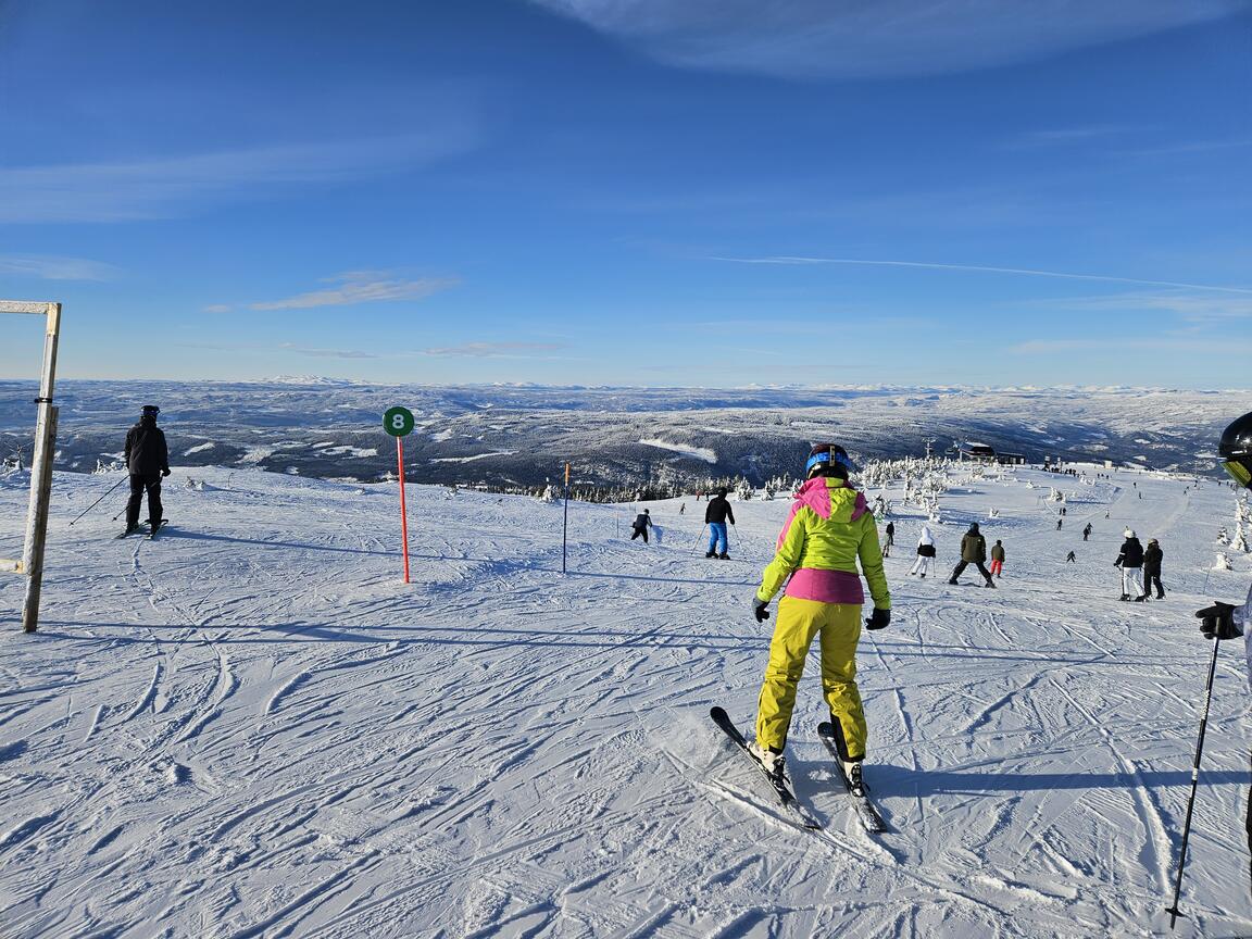 Klik på billedet for at lukke vinduet