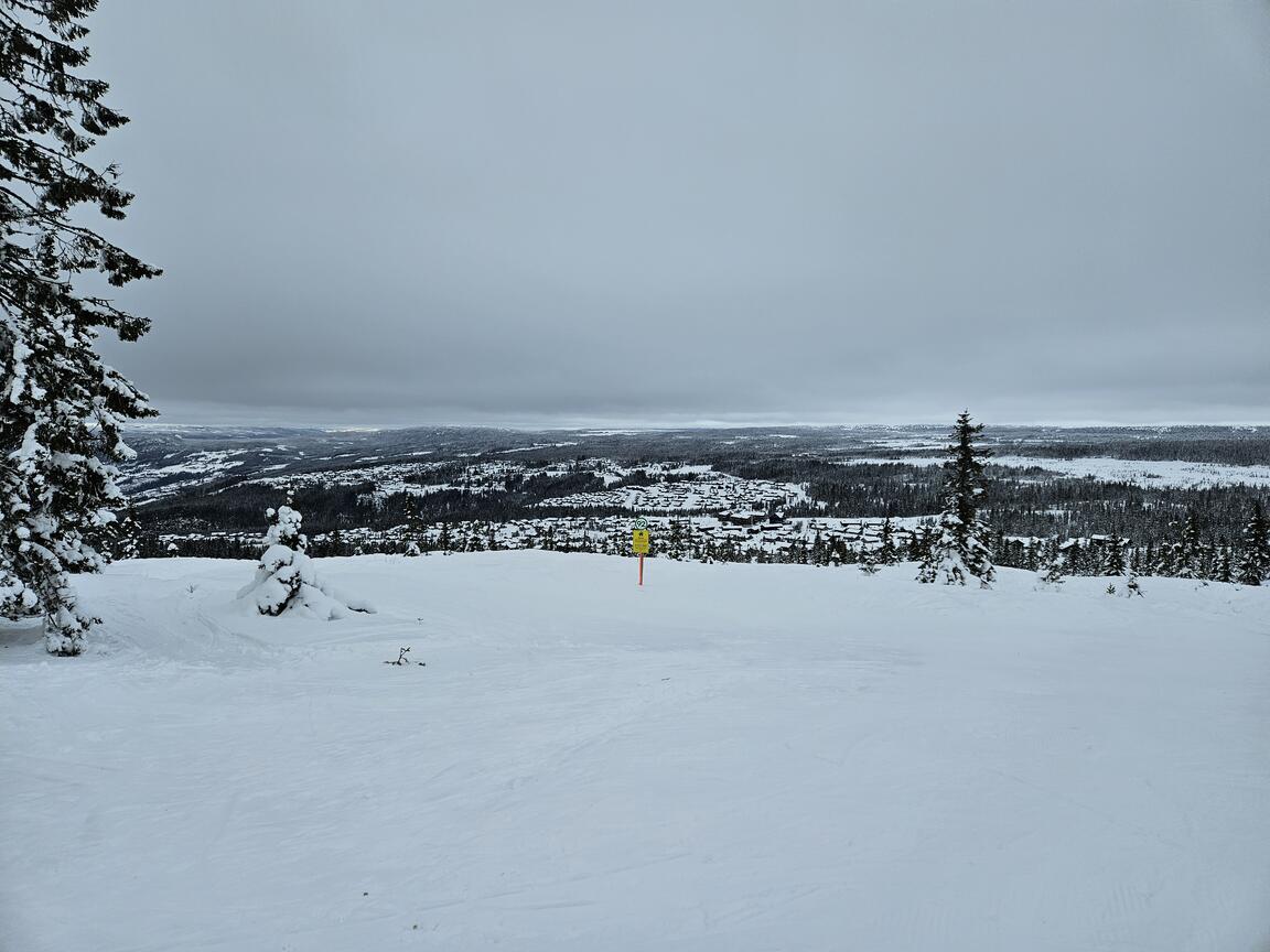 Klik på billedet for at lukke vinduet