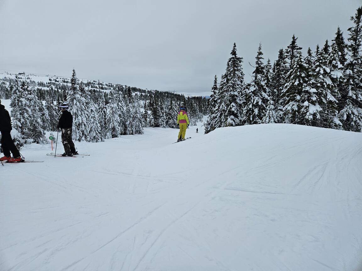 Klik på billedet for at lukke vinduet