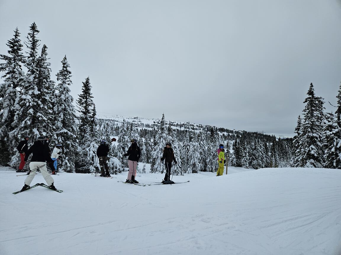 Klik på billedet for at lukke vinduet