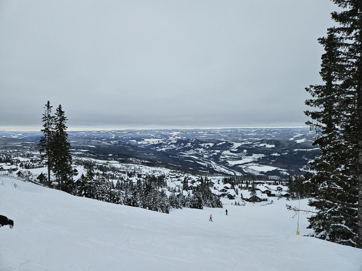 Klik på billedet for at lukke vinduet