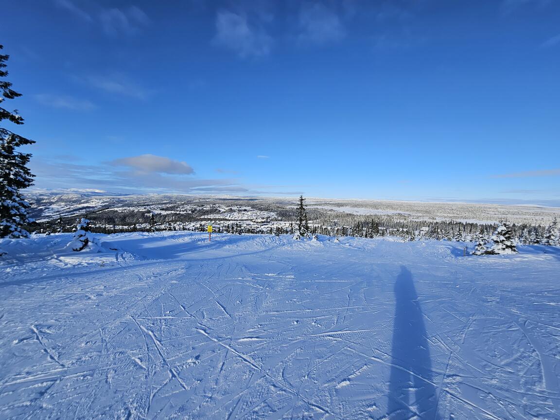 Klik på billedet for at lukke vinduet
