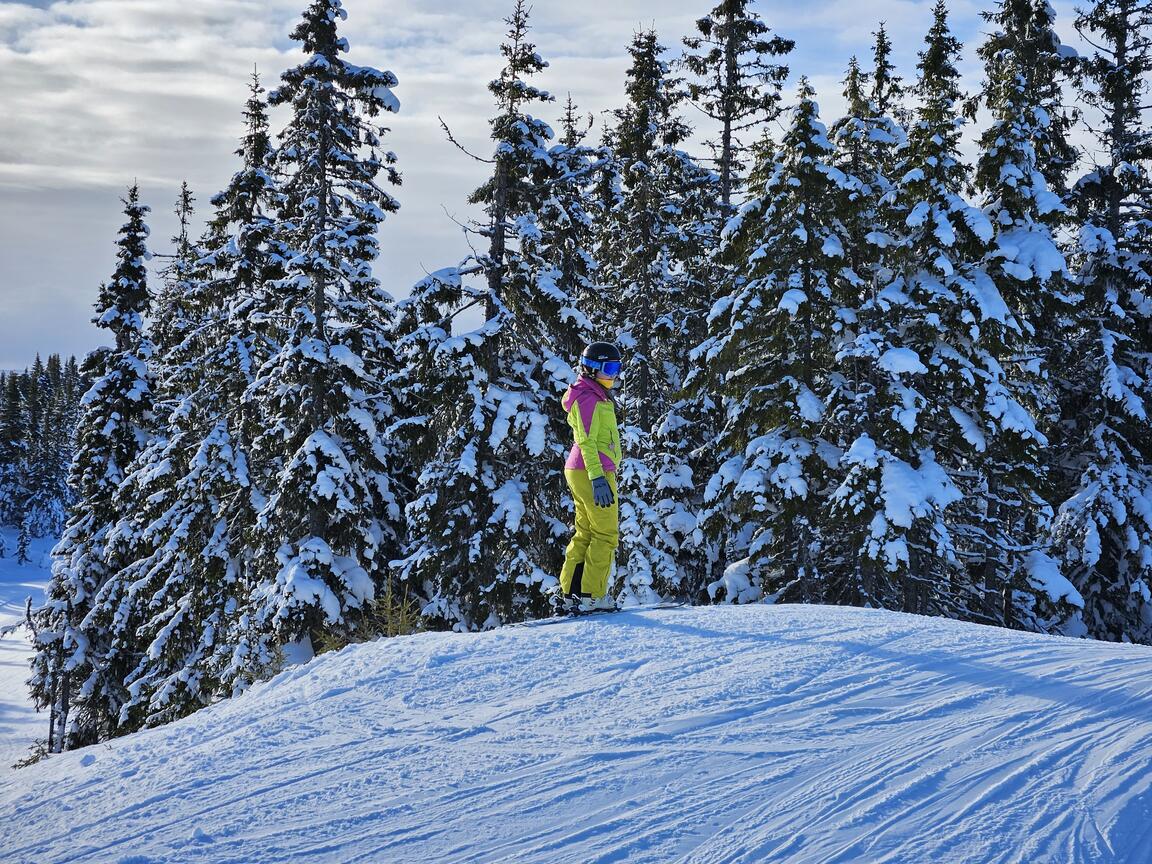 Klik på billedet for at lukke vinduet