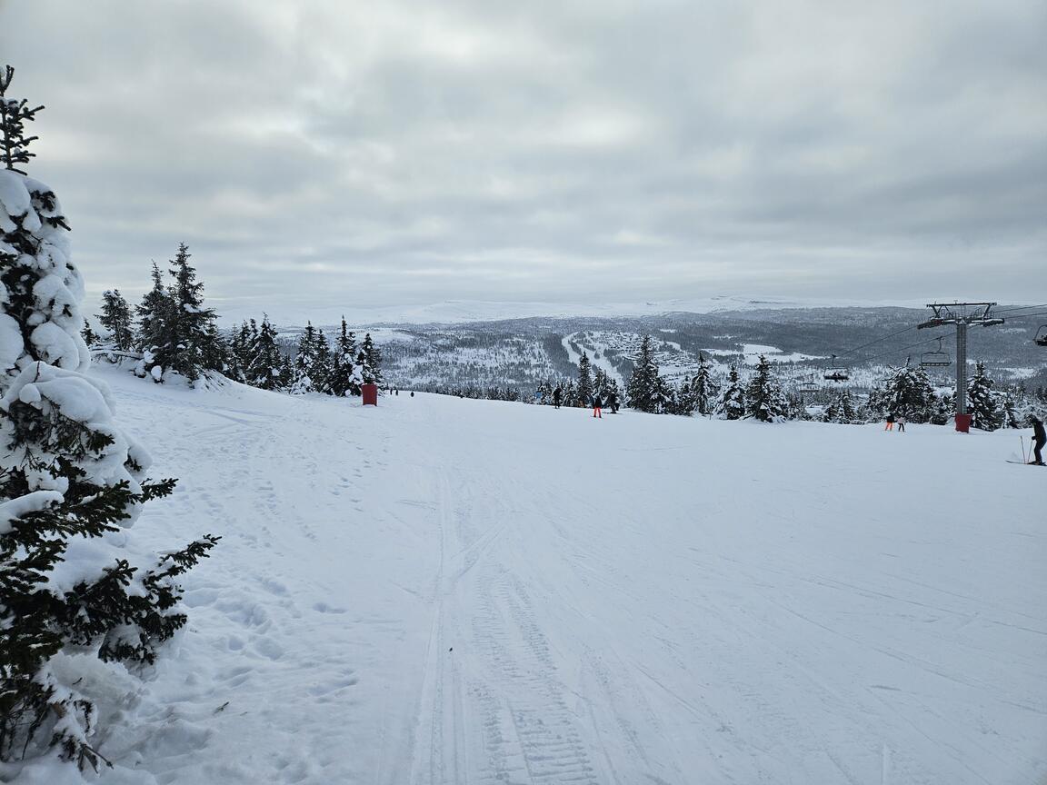 Klik på billedet for at lukke vinduet