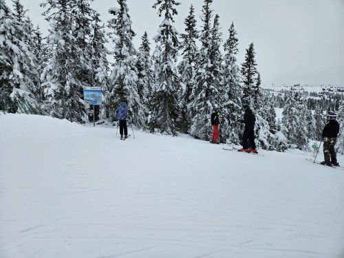 Klik på billedet for at se det i større format