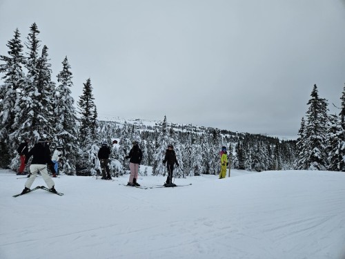 Klik på billedet for at se det i større format