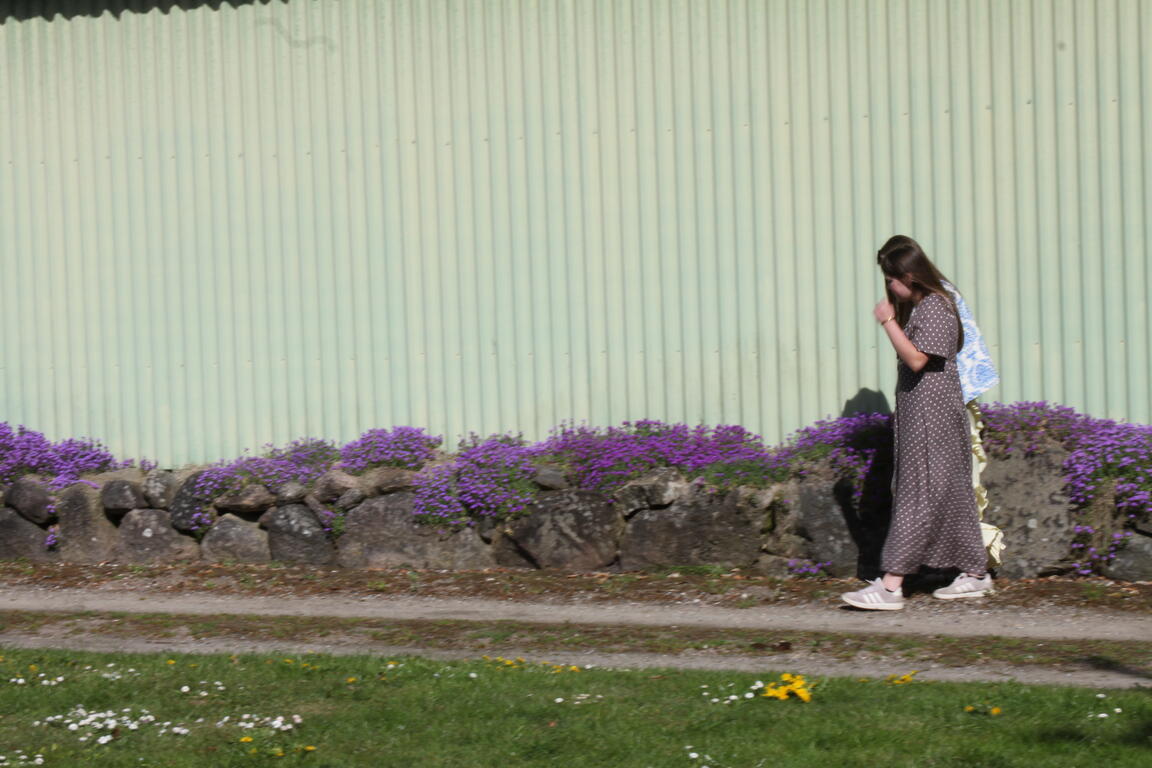 Klik på billedet for at lukke vinduet