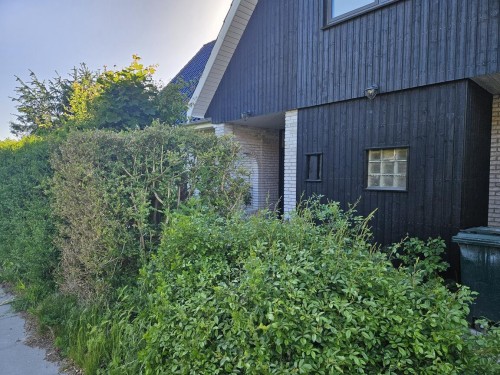 Klik på billedet for at se det i større format