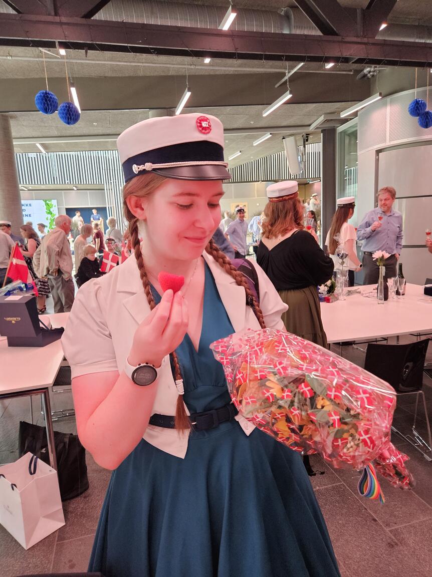 Klik på billedet for at lukke vinduet