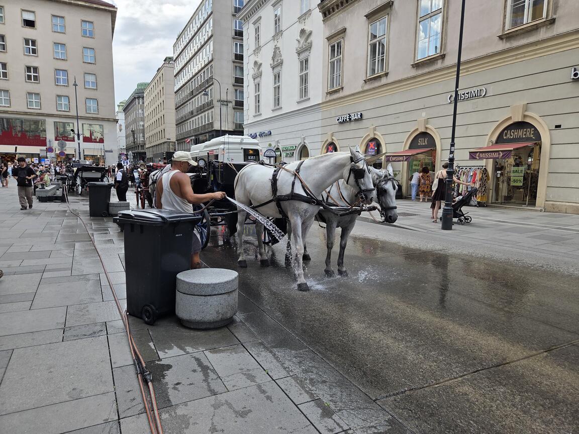 Klik på billedet for at lukke vinduet
