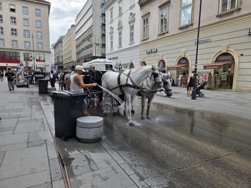 Klik på billedet for at se det i større format