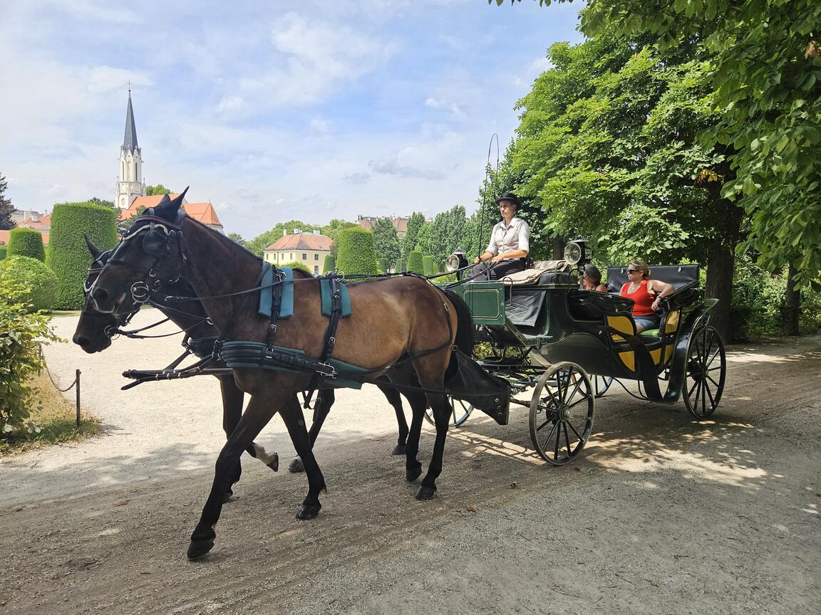 Klik på billedet for at lukke vinduet