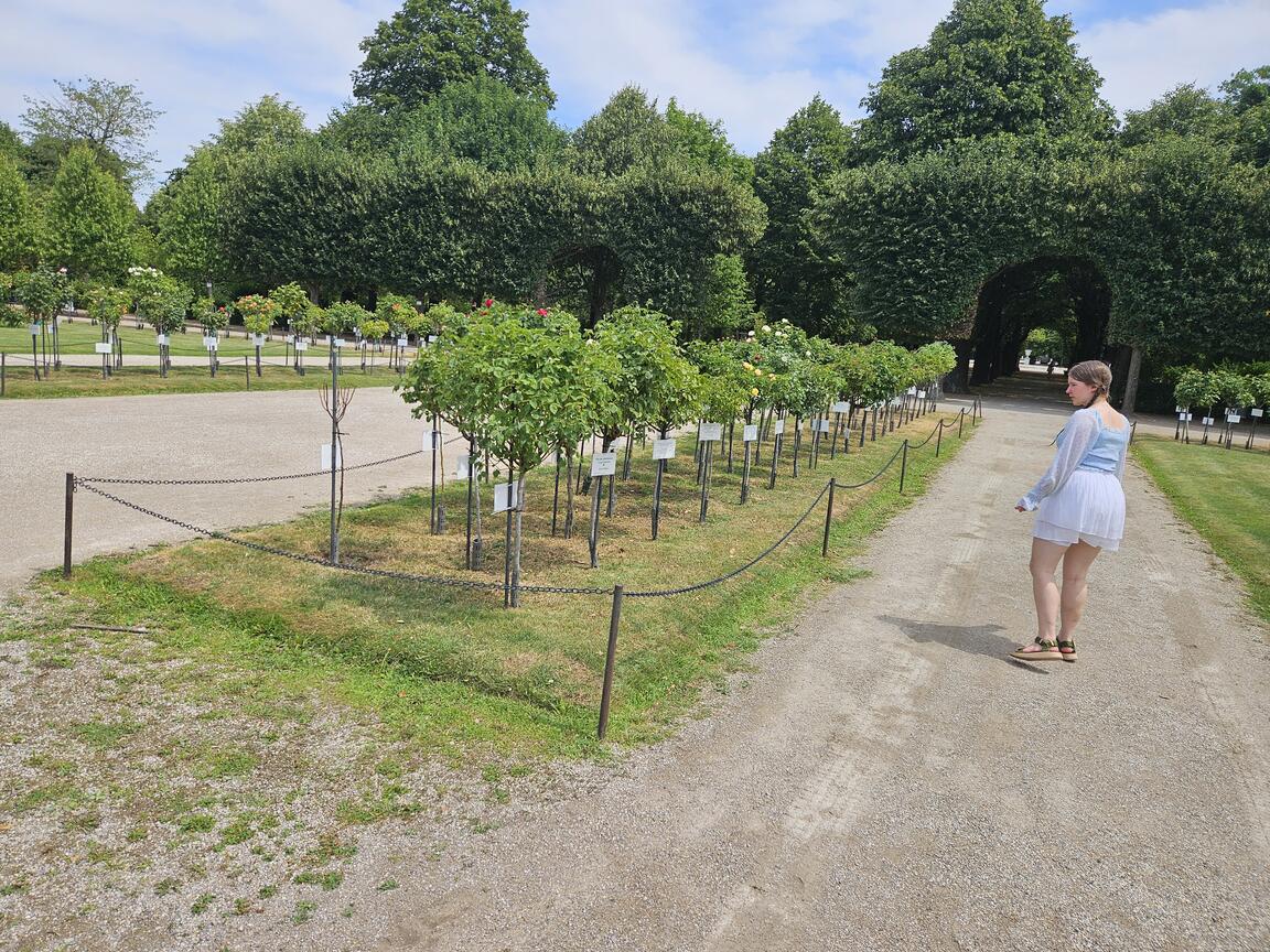 Klik på billedet for at lukke vinduet