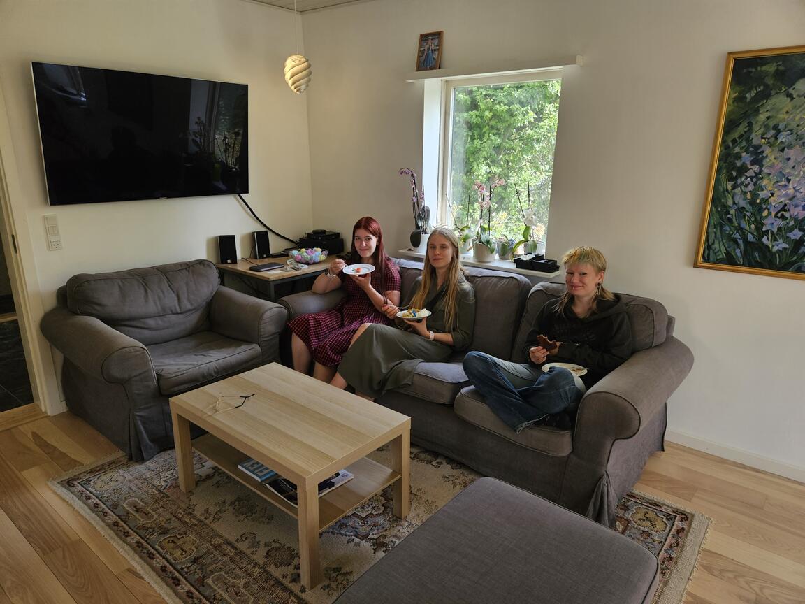 Klik på billedet for at lukke vinduet