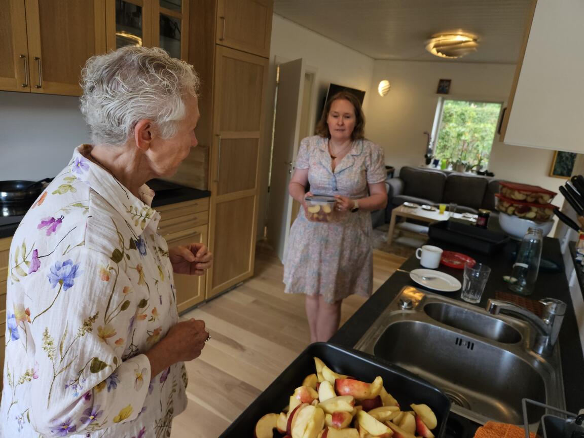 Klik på billedet for at lukke vinduet